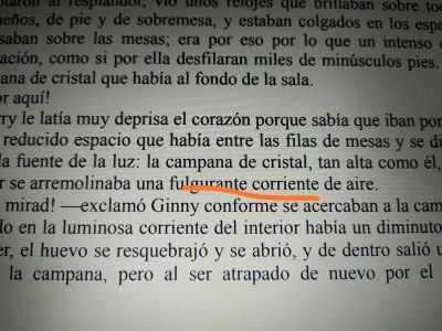 Fulgurante
Fulgurante corriente de aire

1. intr. Brillar, resplandecer, despedir rayos de luz.

2. intr. Destacar por su brillantez.
Keywords: descripción;luz