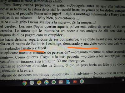 Demacrado y marchito
Demacrado y marchito. Resplandor fanático y febril
Keywords: apariencia;negativo