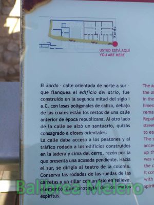 IMG_20201230_120657.jpg