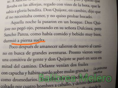 a pierna suelta
durmió a pierna suelta
Keywords: expresión;dormir