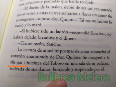 sin par
se imaginó a la sin par dulcinea
Keywords: única;único;increíble