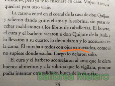 extraviados
miraba con ojos extraviados
Keywords: miró;loco;aturdido