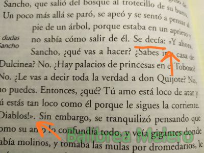 Se decía: "Y ahora, Sancho, ¿qué vas a hacer?"
Se decía: "Y ahora, Sancho, ¿qué vas a hacer?"
Keywords: puntualización;narración