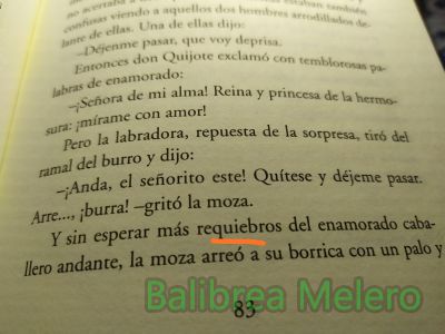 requiebros
y sin esperar más requiebros de enamorado

3. m. Persona que tiene relaciones amorosas con otra.
Keywords: narración;comentarios;amor