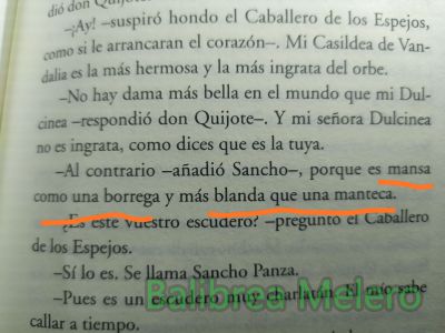 mansa
es mansa como una borrega y más blanda que una manteca
Keywords: apariencia;sentimiento