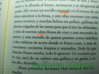 espetado odres
allí vieron un novillo
odres llenos de vino

1. m. Cuero, generalmente de cabra, que, cosido y empegado por todas partes menos por la correspondiente al cuello del animal, sirve para contener líquidos, como vino o aceite.

2. m. coloq. Persona borracha o muy bebedora.
Keywords: almacén;vino;bebida;aceite;bota;3