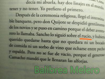 rucio
Sancho lo siguió sobre el rucio

1. adj. Dicho de un animal, especialmente de una caballería: De color pardo claro, blanquecino o canoso. Apl. a asno o a caballo, u. t. c. s.

2. adj. Dicho de un color: Semejante al de un animal rucio.

3. adj. coloq. Dicho de una persona: entrecana.

4. adj. desus. De color parecido al oro.
Keywords: caballo;animal;montar