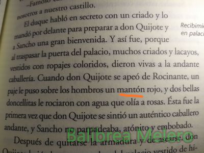 mantón
sobre la cabeza un mantón rojo

1. m. Pañuelo grande que se echa generalmente sobre los hombros.

2. m. Pieza cuadrada o rectangular de abrigo, que se echa sobre los hombros.
Keywords: ropa;tela;pañuelo;abrigar