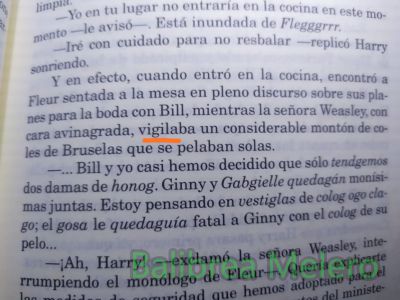 cara avinagrada; vigilaba
Con cara avinagrada vigilaba un montón de coles

Keywords: miró;apariencia;cabeza