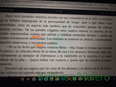 sujetos, truculentos
representaban sujetos que sufrían, truculentos cuadros
Keywords: descripción;apariencia;personas