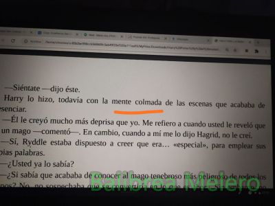 colmada
...con la mente colmada por las escenas que acababa de presenciar
Keywords: sentimiento;descripción