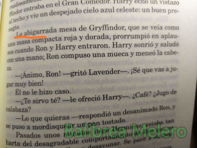 abigarrada
La abigarrada mesa de grifindor

1. adj. De varios colores, especialmente si están mal combinados.

2. adj. Heterogéneo, reunido sin concierto. Un extraño y abigarrado libro. Una multitud abigarrada.
Keywords: descripción;casa;gente