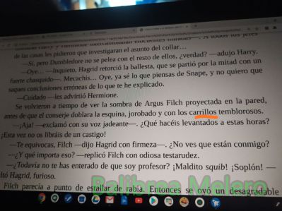 carrillos
jorobado y con los carrillos temblorosos.
Mejilla, especialmente su parte central y más carnosa
Keywords: apariencia;cabeza