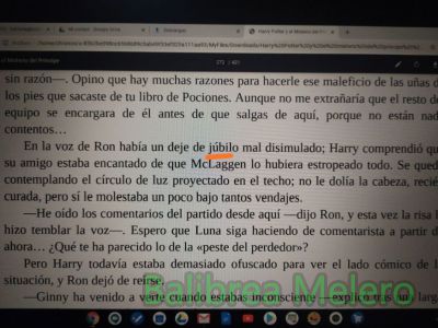 Júbilo
Dijo con un deje de júbilo mal disimulado
Keywords: dijo;voz