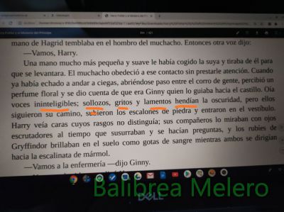 Ininteligibles, hendir
Voces ininteligibles, sollozos, gritos y lamentos hendían la noche
Keywords: descripción;noche;negativo