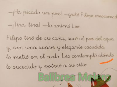 atónito
contempló atónito lo sucedido
Keywords: sorprendido;flipa,aturdido