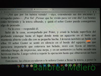 balde
Llevaron también un balde con ellos
Keywords: descripción;comida;cocina