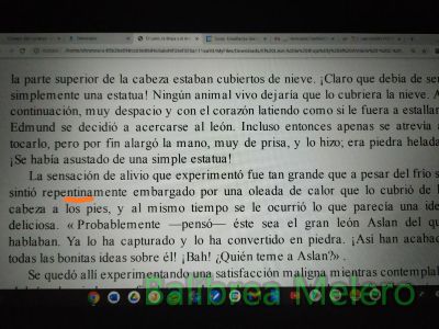 embargado
se sintió repentinamente embargado por una oleada de calor
Keywords: apariencia;sentimiento