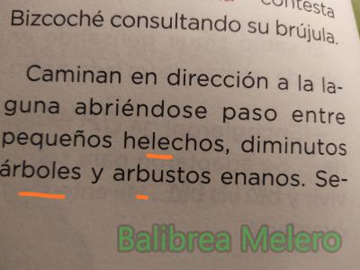 helechos
pequeños helechos, diminutos árboles y arbustos enanos...
Keywords: arbol;bosque