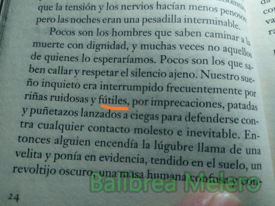 fútil
riñas ruidosas y fútiles

1. adj. De poco aprecio o importancia.
Keywords: ruina;ruinoso;despreciable;mierda