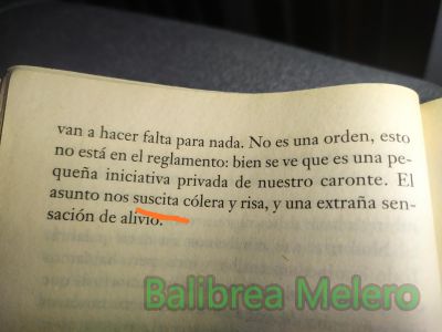 suscita
nos suscita cólera

1. tr. Levantar, promover.
Keywords: sentimiento;apariencia;descripción