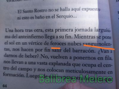 sanguinolentas
feroces luces sanguinolentas
Keywords: color;rojo
