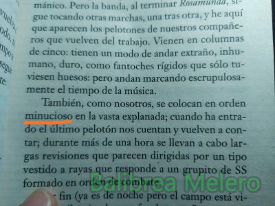 minucioso
en orden minucioso
Keywords: orden;detalle;detallista