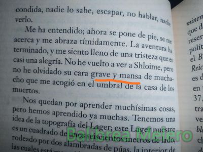 mansa
su cara grave y mansa
Keywords: cara;apariencia