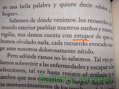 estupor
nos damos cuenta con estupor de que no hemos olvidado nada

1. m. Asombro, pasmo.

2. m. Med. Disminución de la actividad de las funciones intelectuales, acompañada de cierto aire o aspecto de asombro o de indiferencia.
Keywords: asombro;asombrado