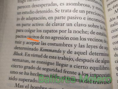 tácitos
pactos tácitos de no agresión

1. adj. Callado, silencioso.

2. adj. Que no se entiende, percibe, oye o dice formalmente, sino que se supone e infiere.
Keywords: acuerdo;pacto