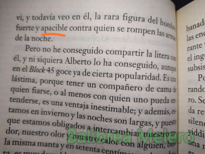 apacible
la rar figura del hombre fuerte y apacible

1. adj. Manso, dulce y agradable en la condición y el trato.
Keywords: buena persona;apariencia;descripción