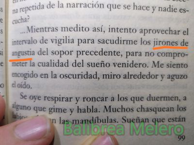 jirones
jirones de angustia del sopor precendente

1. m. Pedazo desgarrado del vestido o de otra ropa.

2. m. Pendón o guion que remata en punta.

3. m. Parte o porción pequeña de un todo.
Keywords: trozo;parte