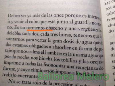 tormento
es un tormento obsceno y una vergüenza indeleble

1. m. Acción y efecto de atormentar.

2. m. Angustia o dolor físico.

3. m. Congoja o aflicción.
Keywords: dolor;pesadilla;angustia;aflicción