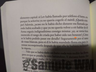 botarate
tenía bien merecido el rango de criada por haber sido tan botarate

1. m. y f. Persona alborotada y de poco juicio. U. t. c. adj.

2. m. y f. Can. y Am. Persona derrochadora, manirrota. U. t. c. adj.
Keywords: insulto;pesao;pesado