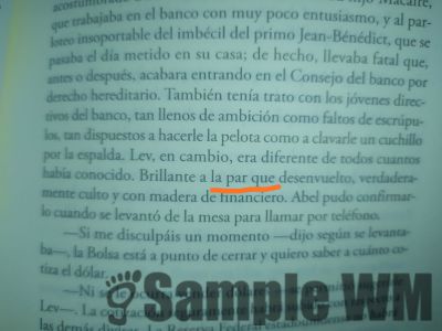 brillante a la par de desenvuelto
brillante a la par que desenvuelto
Keywords: personaje;apariencia
