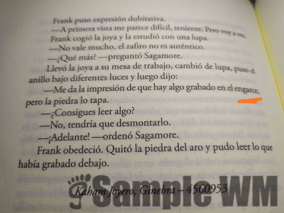 anillo_joya_escrito.jpg