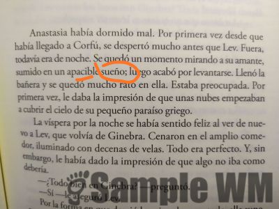 sumido apacible
sumido en un apacible sueño
Keywords: sueño:tranquilo;pensamiento