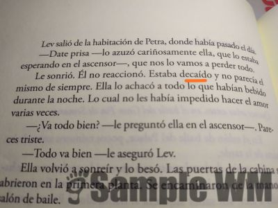 decaído
Estaba decaído
Keywords: triste;sentimiento;negativo