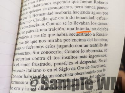 traición
no dejaba de ser una felonía
Keywords: traición;traidor