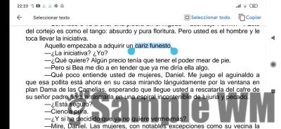 aciago desgracia triste
aquellos comenzaba a adquirir un cariz funesto

Funesto:
1. adj. Aciago, que es origen de pesares o de ruina.

2. adj. Triste y desgraciado.
