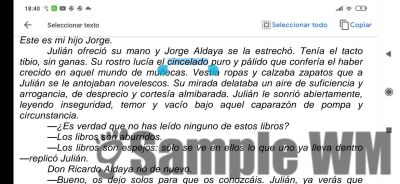 Cincelado
Su rostro lucía el cincelado de haber vivido en ese mundo de muñecas
Keywords: cara, apariencia,