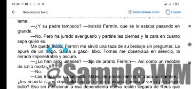 lívido
Me quedé lívido
Keywords: blanco;flipado;flipao