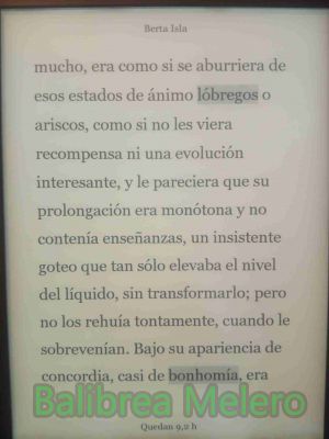 lóbregos bonhomía
Estados de ánimos lóbregos
Lóbrego
1.
FORMAL
Que es oscuro o sombrío e inspira temor o tristeza.
"noche lóbrega"
2.
FORMAL
Que es confuso o incierto.
"porvenir lóbrego"

De concordia, casi de bonhomía
Cualidad de la persona que es muy buena pero algo ingenua.
Keywords: sentimiento;bueno;negativo;positivo;malo