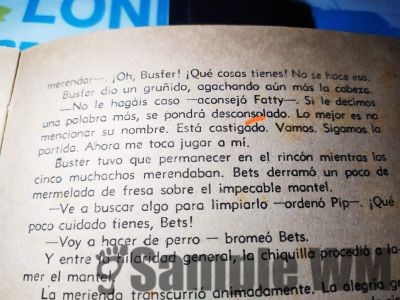 desconsolado
se pondrá desconsolado
Keywords: Blyton;Enid;triste;deprimido;sentimiento