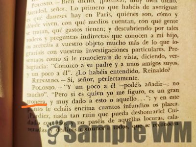 tronera
es un gran tronera

6. m. y f. coloq. Persona que lleva una vida contraria a toda norma moral y que busca fundamentalmente satisfacer sus deseos sexuales.
Keywords: insulto;mentiroso;villano;chulo;puta;prostituta