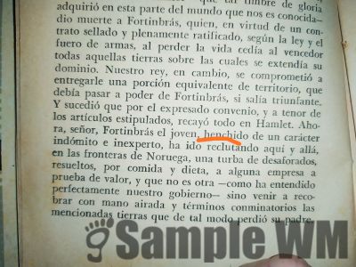 henchido
henchido de un carácter indómito e inexperto

indómito: Que no se puede o no se deja domar
Keywords: descripción;salvaje;loco;alocado;carácter;personalidad
