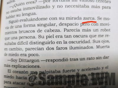 vio Miró mirada miró
