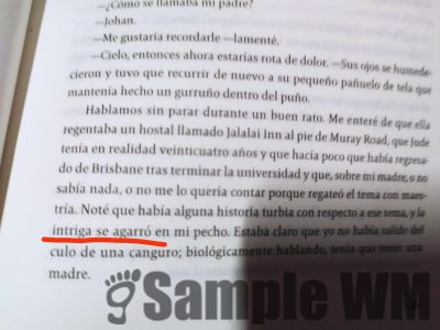 curiosidad conocer indagar preguntar
