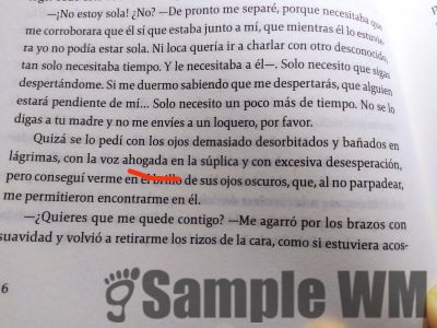 dijo silencio llorar
