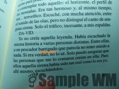 barriga_gordo_relleno_apariencia.jpg
